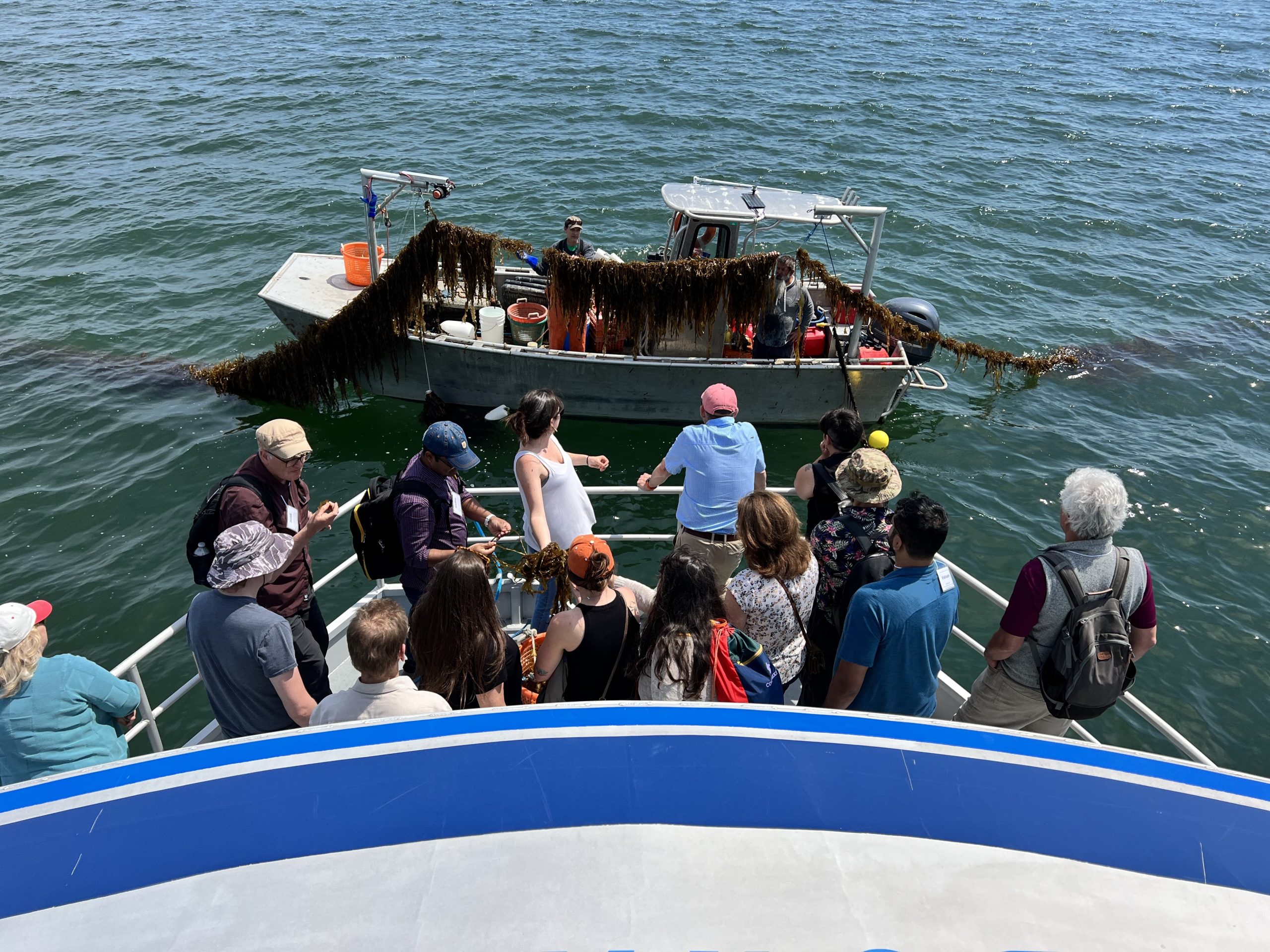 Students on a research boat