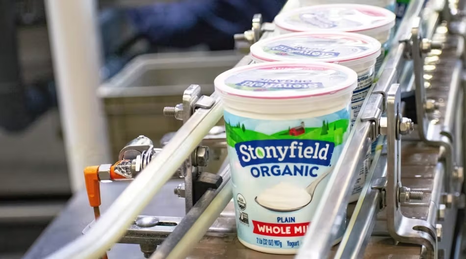 Stonyfield yogurt production line