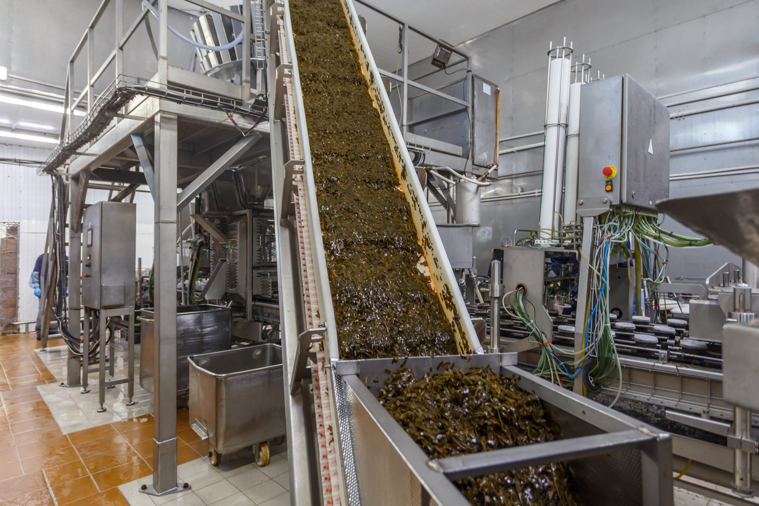 Seaweed processing facility