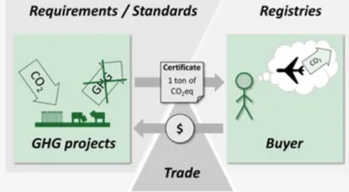 Carbon credit requirements and trade workflow diagram